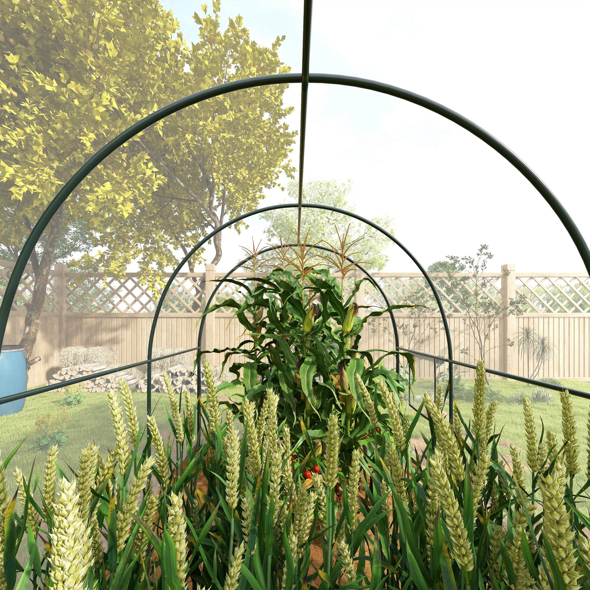 Garden Greenhouse Tunnel Tomato Greenhouse Ground Surface 6 m² 3L x 2W x 2H m Reinforced Tubular Frame Zippered Door 2 Roll-Up Windows - Transparent