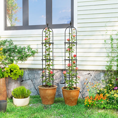 Set of 2 Steel Garden Obelisks, 174 cm Trellis Supports for Climbing Plants, Roses, Fruit & Vegetables, Decorative Outdoor Plant Supports, Black