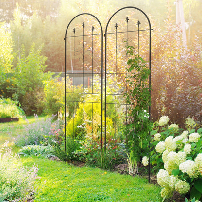 Set of 2 Garden Trellises, Climbing Plant Support made of Steel, 50L x 180H cm, black