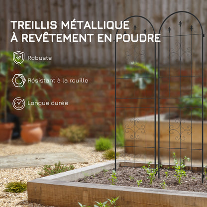 Set of 2 Garden Trellises, Climbing Plant Support made of Steel, 50L x 180H cm, black