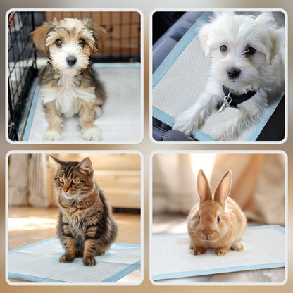 Dog Pads 80 Unit 60x60 cm Pet Training Pads 6-Layer Design with Quick-Dry Leak-Proof Surface Blue