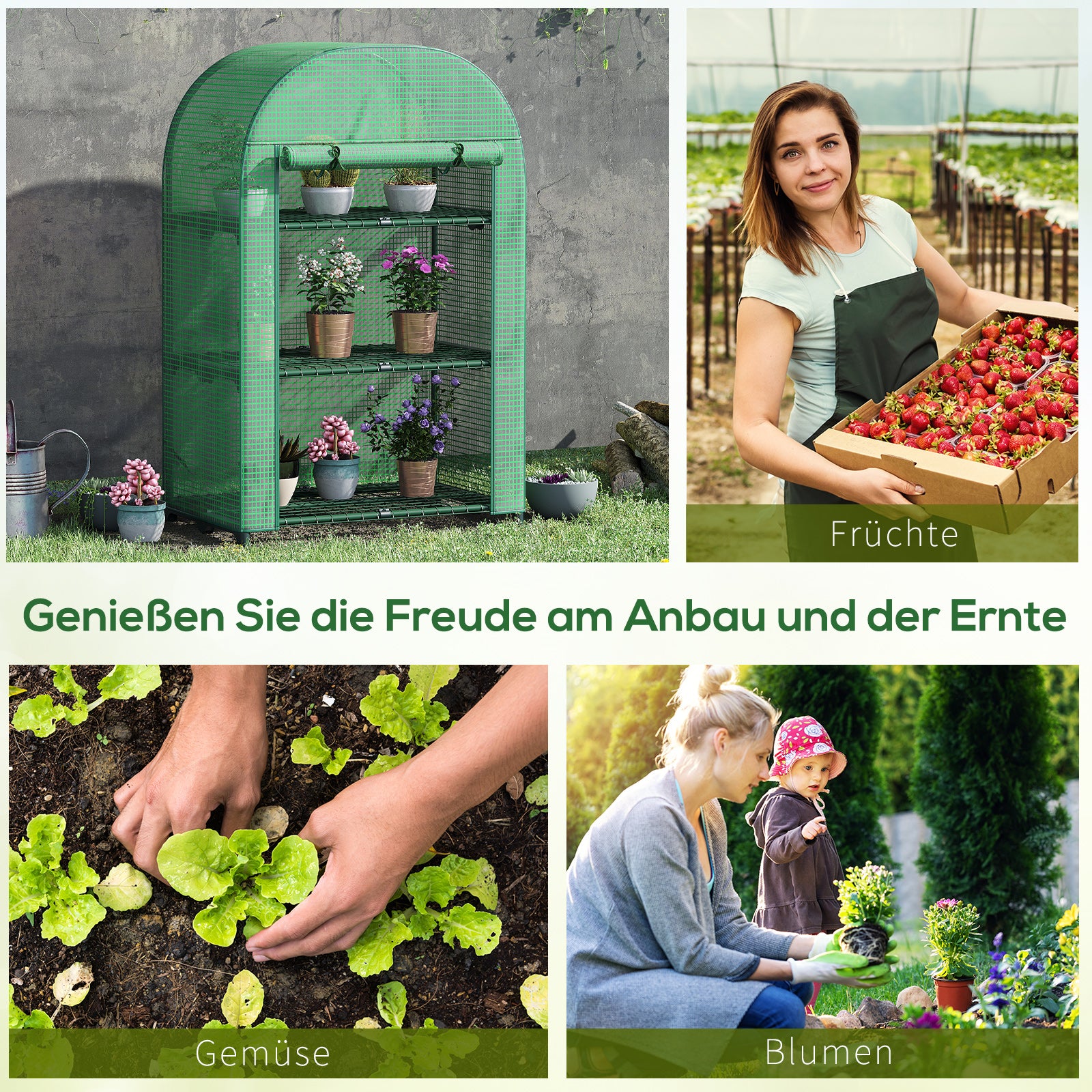 Balcony Plastic Greenhouse with 3 Shelves Mini Greenhouse Conservatory Tomato House Plant House Cold Frame Metal Green 80 x 49 x 120 cm