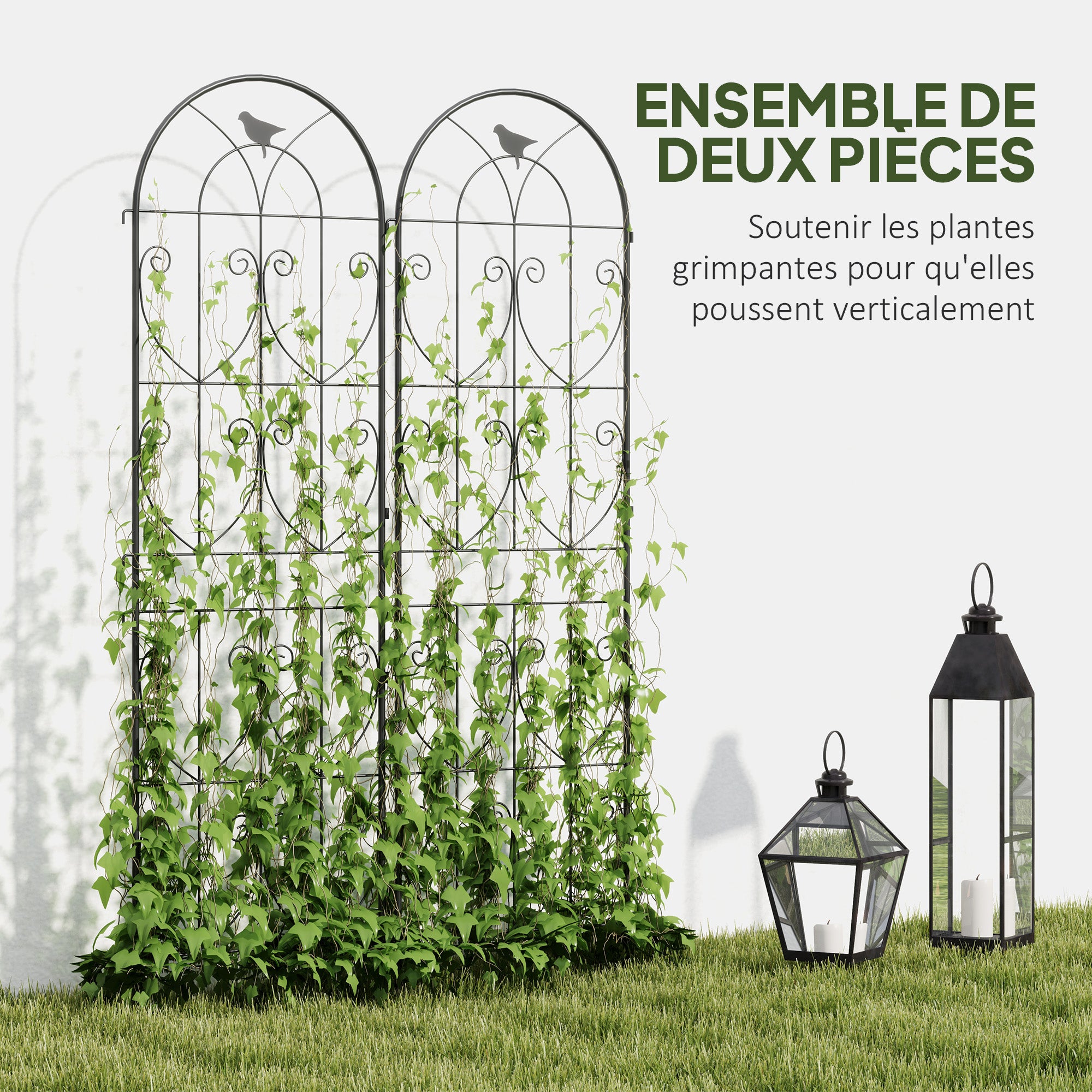 Plant Support with Birds, 2-Pack, Garden Trellis for Vegetables, Vines, Flowers, Made of Metal, 50 x 180 cm, Black