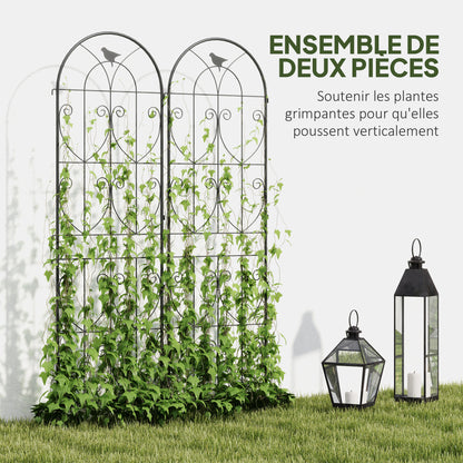 Plant Support with Birds, 2-Pack, Garden Trellis for Vegetables, Vines, Flowers, Made of Metal, 50 x 180 cm, Black
