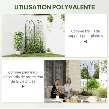 Plant Support with Birds, 2-Pack, Garden Trellis for Vegetables, Vines, Flowers, Made of Metal, 50 x 180 cm, Black