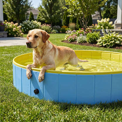 Folding Dog Pool for Large & Extra-Large Dogs, 160 x 30 cm (63" x 11.8"), Non-Slip, Durable Plastic, Blue — Indoor & Outdoor