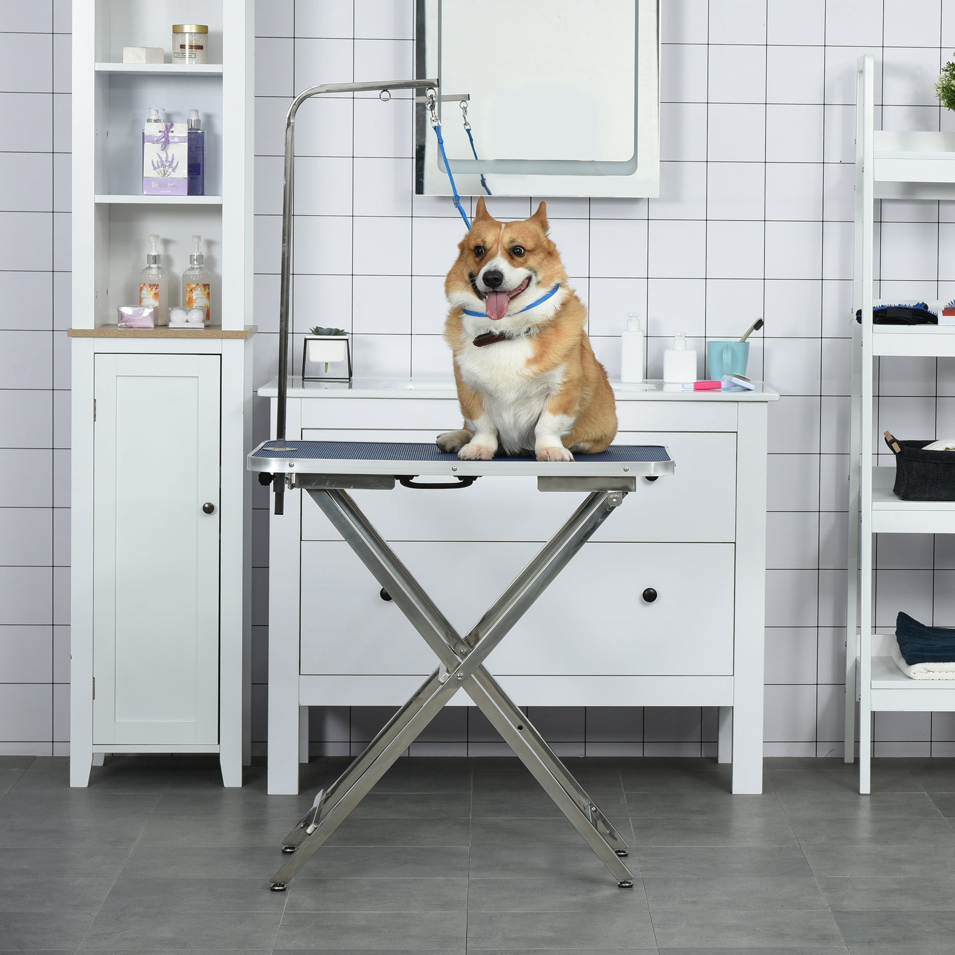 Pet Grooming Table Grooming Table Adjustable Height with Non-slip Countertop Foldable Stainless Steel Legs Handle and Adjustable Height Arm 72x45x74-81 cm Blue