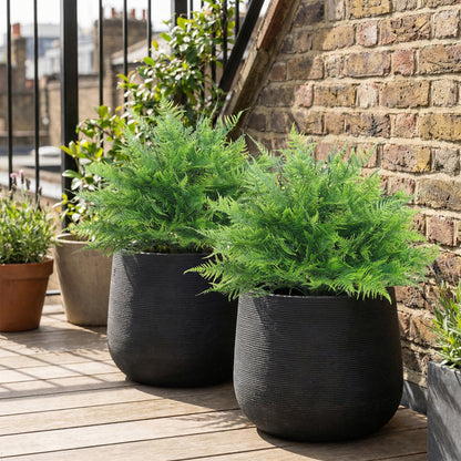 2-Pack Artificial Boston Ferns, 24 in Faux Potted Plants – Lifelike Fake Ferns for Living Room, Bedroom, Garden, Office, Gift