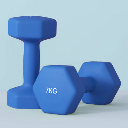 SPORTNOW Set of 2 Hexagonal Non-Slip Dumbbells 2x7 kg for Training, Gym Weights in Metal and Plastic, 22.5x10.5x10.5 cm, Blue