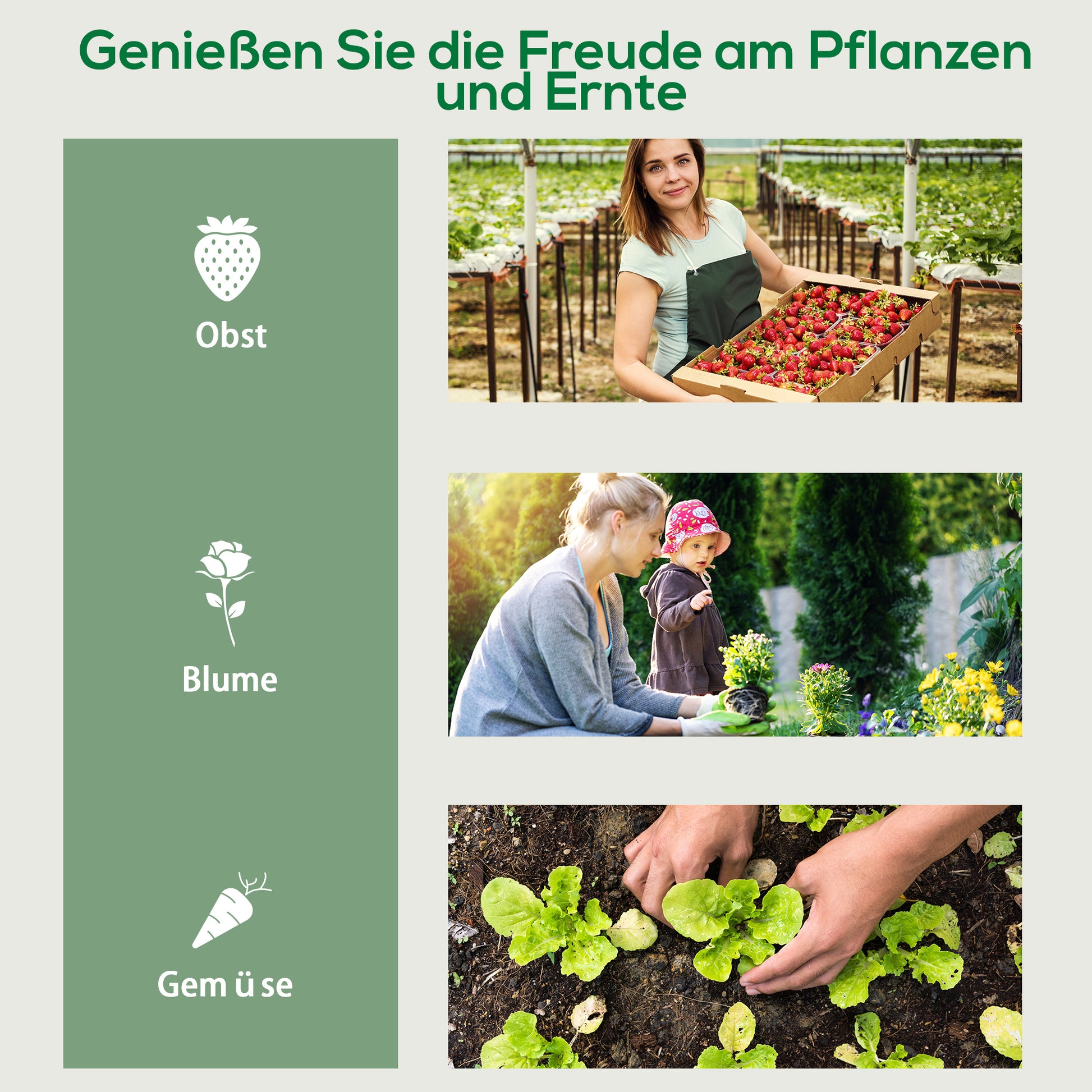 Greenhouse with Rollers, Shelves, Winterproof Steel Foil Greenhouse, Cold Frame for Balcony, Garden, Tomato House 69 x 50 x 165 cm, Tomato Greenhouse for Tomatoes, Flowers, Plants, Green