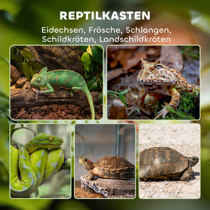 Terrarium for Reptiles Reptile Feeding Box with Anti-Escape Design, Ventilation 120L Glass Terrarium with Cable Management for Amphibians Spider Metal Black 45 x 45 x 60 cm