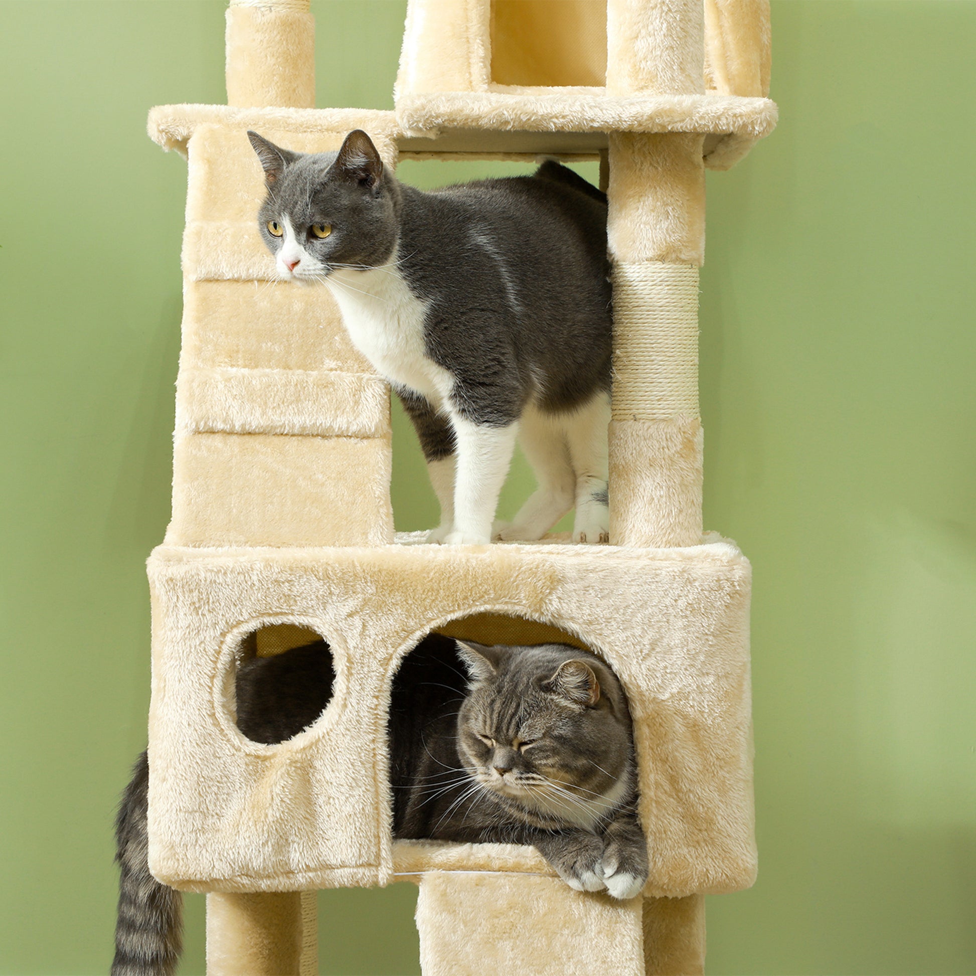 Cat Scratching Tree Large 49x49x173 cm with Multiple Levels with Caves Stairs Hanging Toys Beds Activity Center Sisal Beige