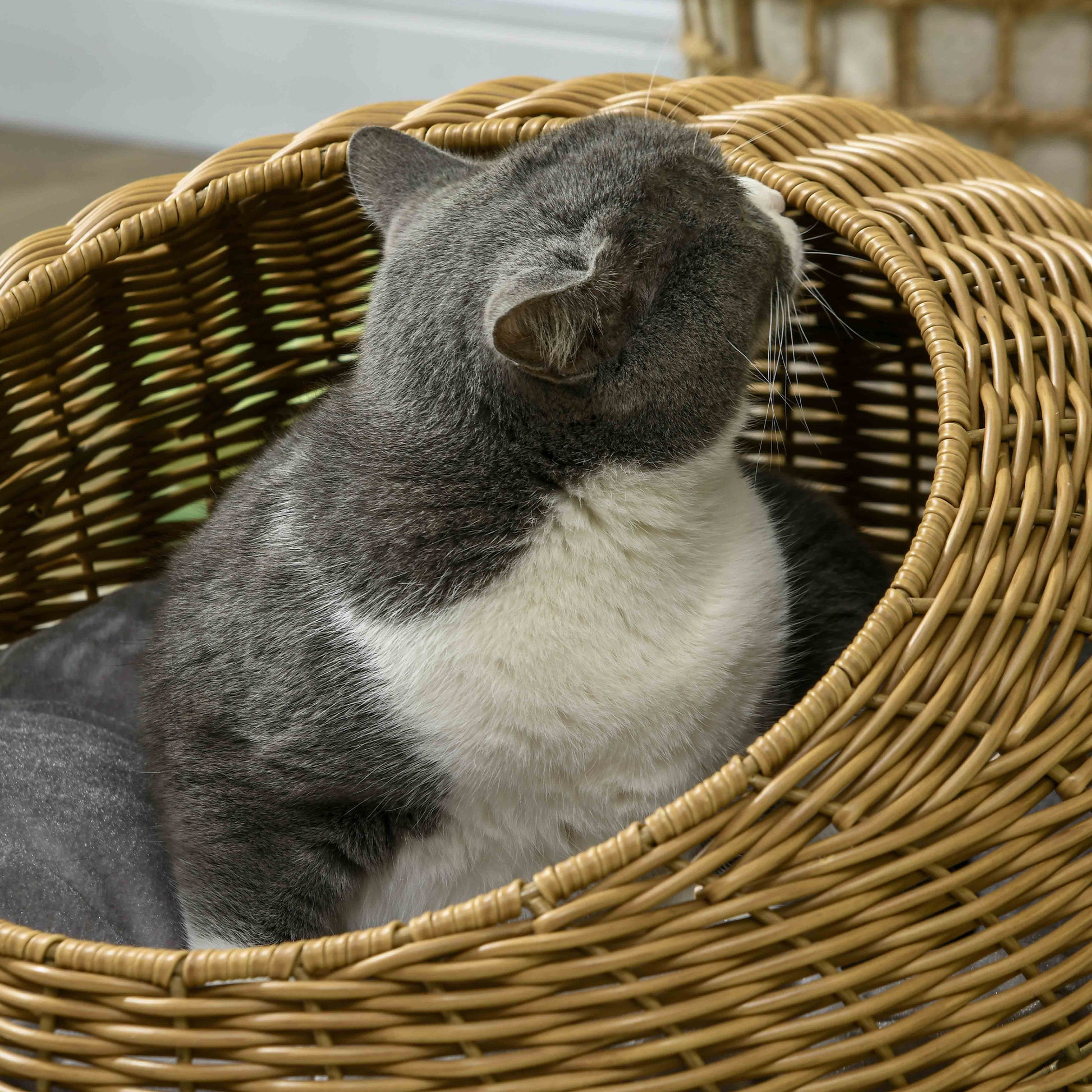 Rattan Cat Basket Cat House Cat Hut with Cushion for Cats up to 4 kg, Pet Bed Cat Cave, Indoor, PE Rattan, Ø50 x 31 cm, Light Brown