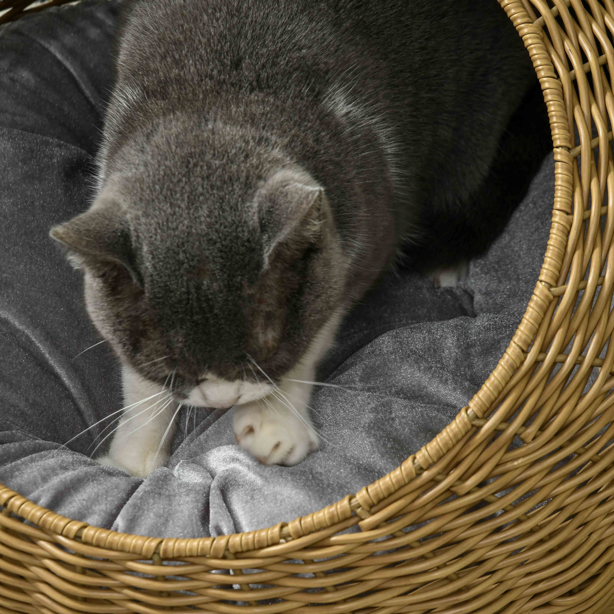 Rattan Cat Basket Cat House Cat Hut with Cushion for Cats up to 4 kg, Pet Bed Cat Cave, Indoor, PE Rattan, Ø50 x 31 cm, Light Brown