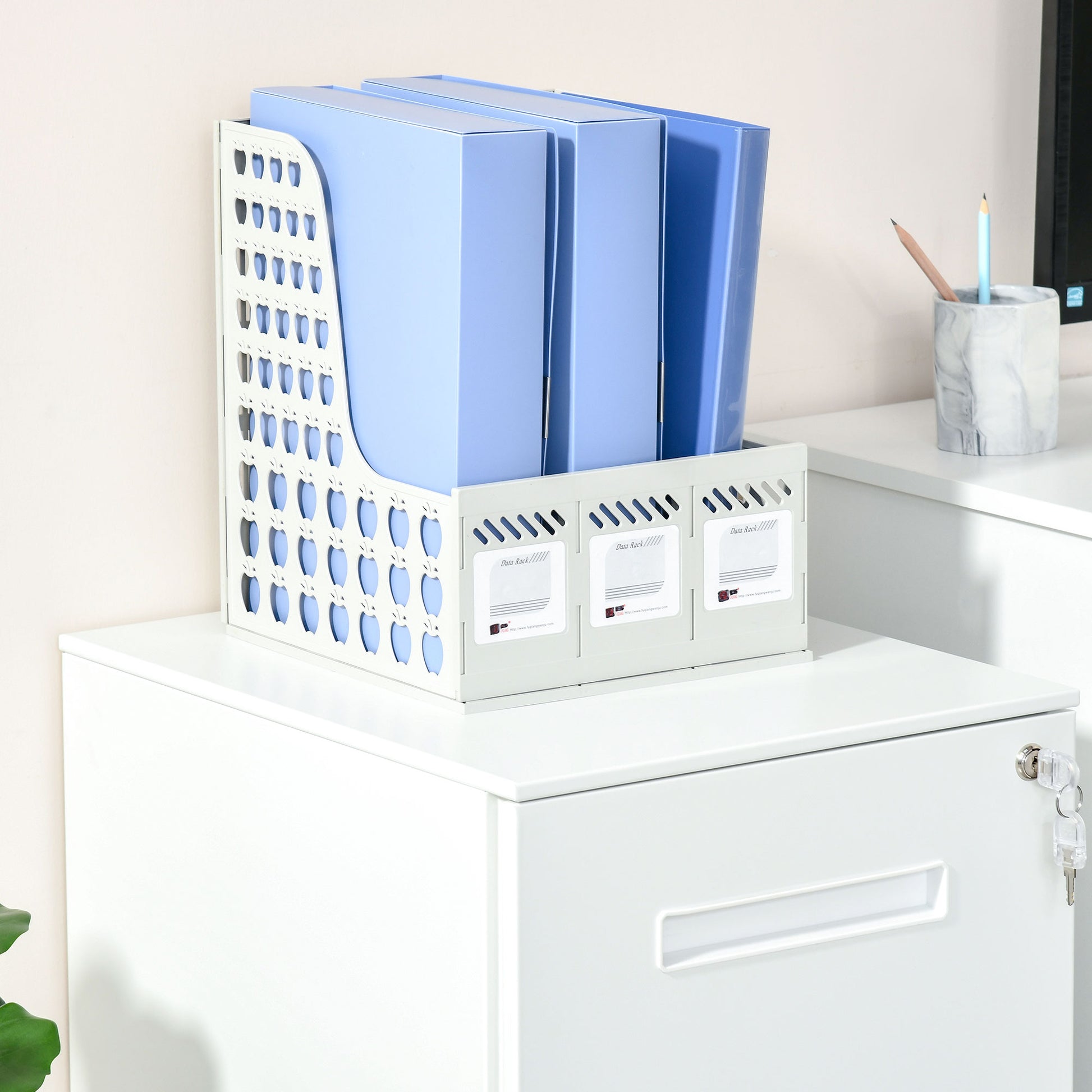 Filing Cabinet with 2 Drawers Lockable Rolling Cabinet Office Container Office Cabinet with Wheels Under Desk Storage with Hanging Files, for A4-sized Documents Steel 39 x 48 x 67 cm