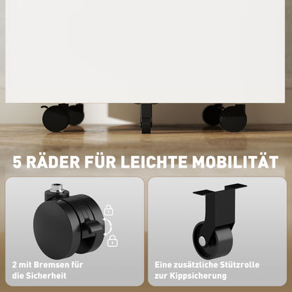 Filing Cabinet with 2 Drawers Lockable Rolling Cabinet Office Container Office Cabinet with Wheels Under Desk Storage with Hanging Files, for A4-sized Documents Steel 39 x 48 x 67 cm