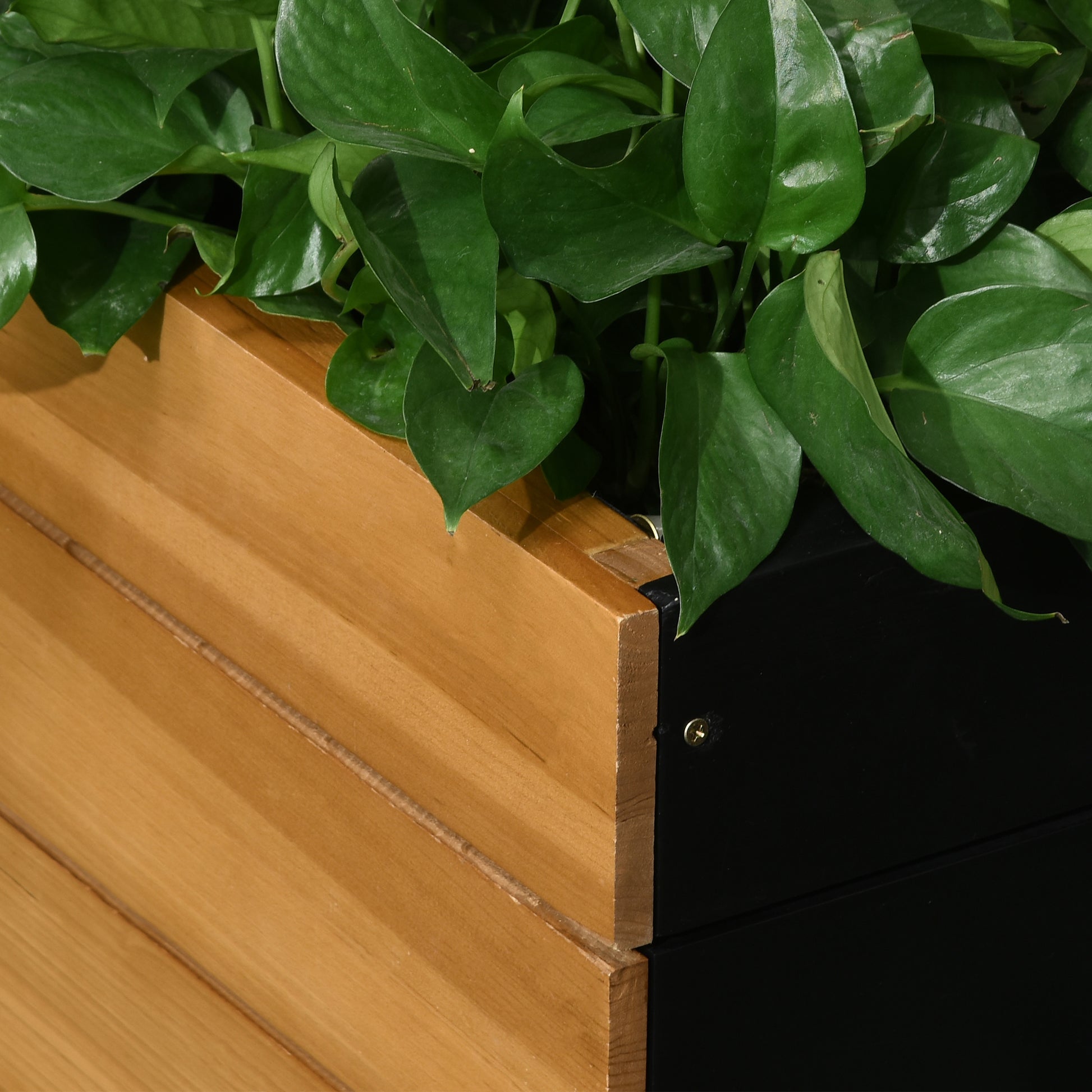 Raised Garden Bed, Wooden Planter Box with Self-Watering System Greenhouse Planter Box 79.5 x 49.5 x 80cm for Garden Balcony, Planter for Flowers, Plants, Fruits, Vegetables