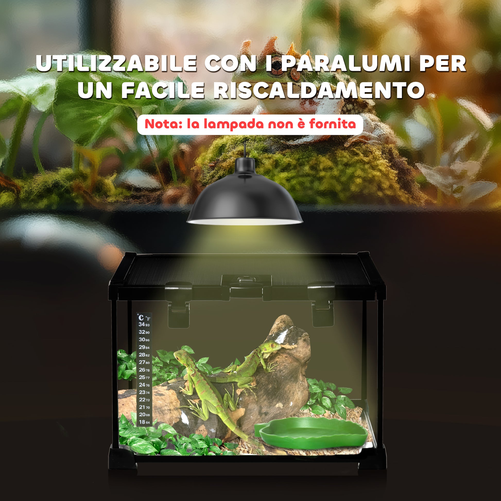 Raised Reptile Terrarium with Lock and Feeding Door, Glass and Wire Mesh Terrarium for Turtles and Snakes, 30x30x20 cm, Black