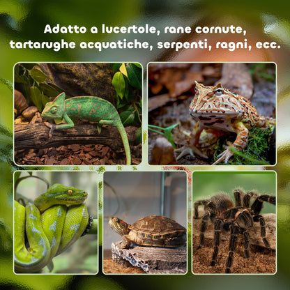 Raised Reptile Terrarium with Lock and Feeding Door, Glass and Wire Mesh Terrarium for Turtles and Snakes, 30x30x20 cm, Black