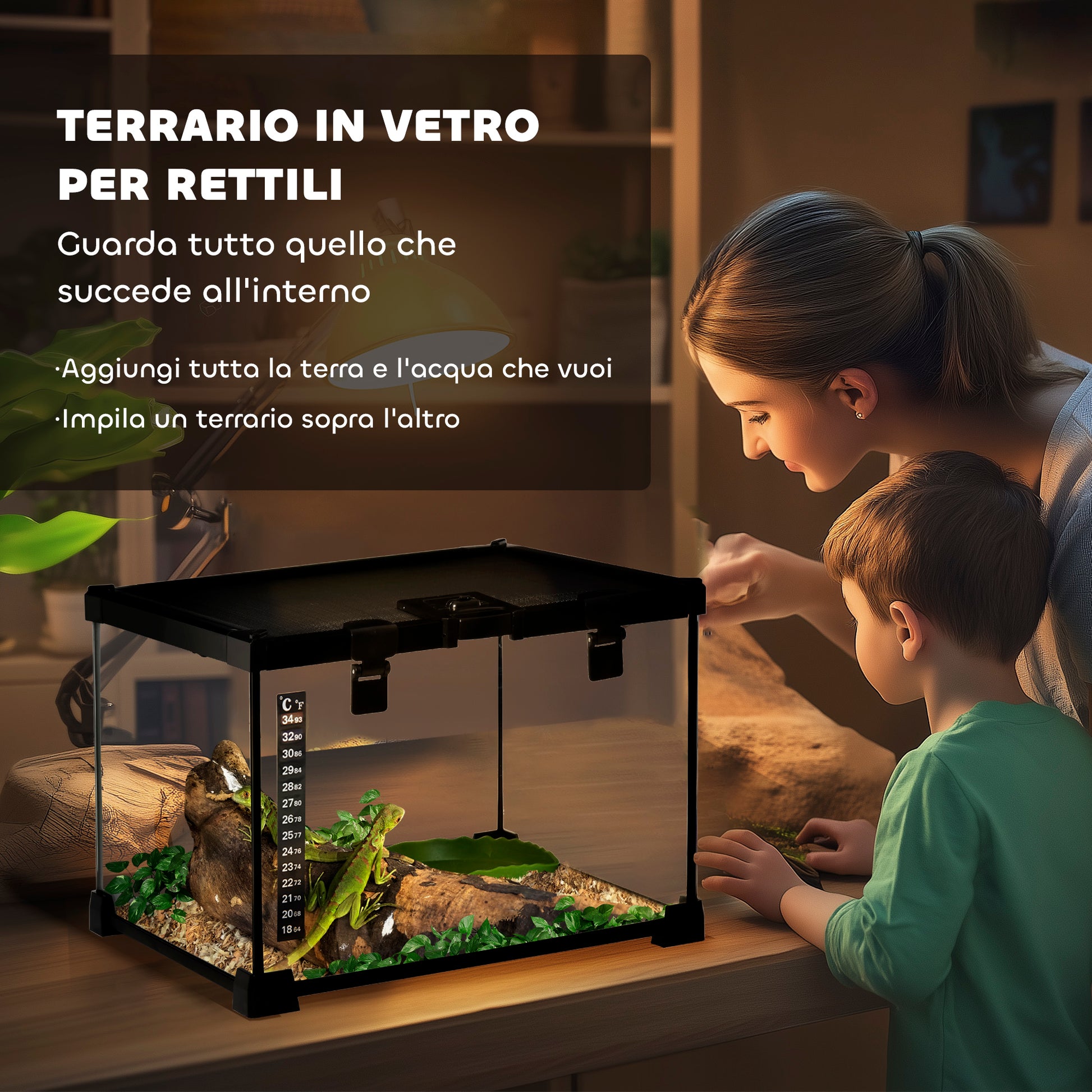 Raised Reptile Terrarium with Lock and Feeding Door, Glass and Wire Mesh Terrarium for Turtles and Snakes, 30x30x20 cm, Black