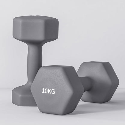 SPORTNOW 2x10 kg Hex Dumbbells Set in Metal and Plastic, 2 Dumbbell Weights with Non-slip Grip, 26x12x12 cm, Gray