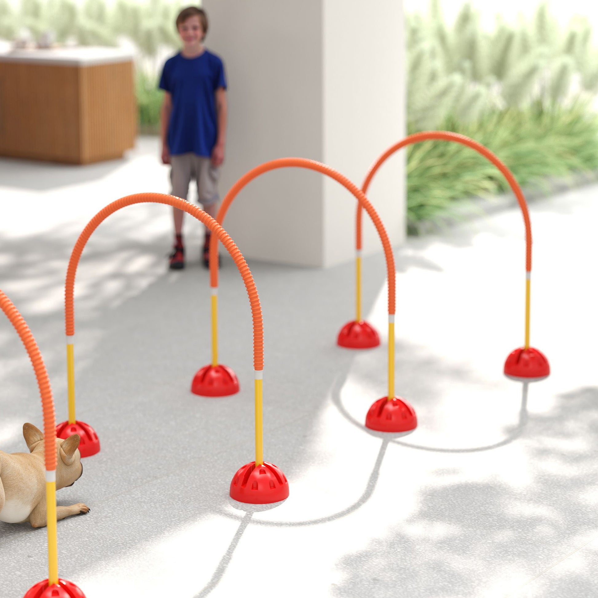 Dog Agility Equipment Kit, Dog Agility Kit with 4 Adjustable Width Doors, Carry Bag, Easy Assembly, Portable Dog Agility, Yellow and Orange