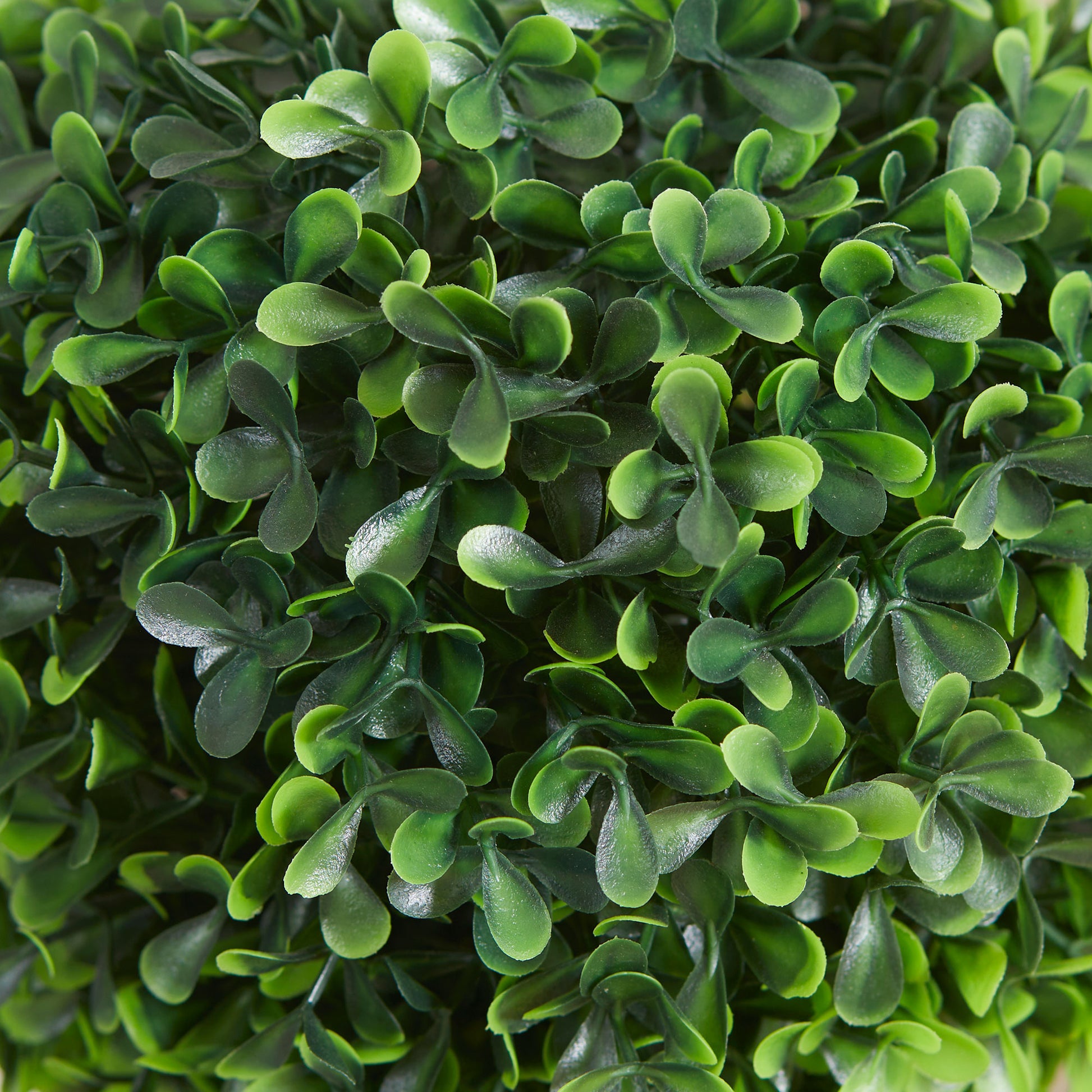 2-Pack Large Artificial Boxwood Tree 60 cm, UV Resistant Fake Plant, Plastic Artificial Plants in Pot, Artificial Tree, Fake Plant Looks Real for Living Room Bedroom Office Garden Decor Gift