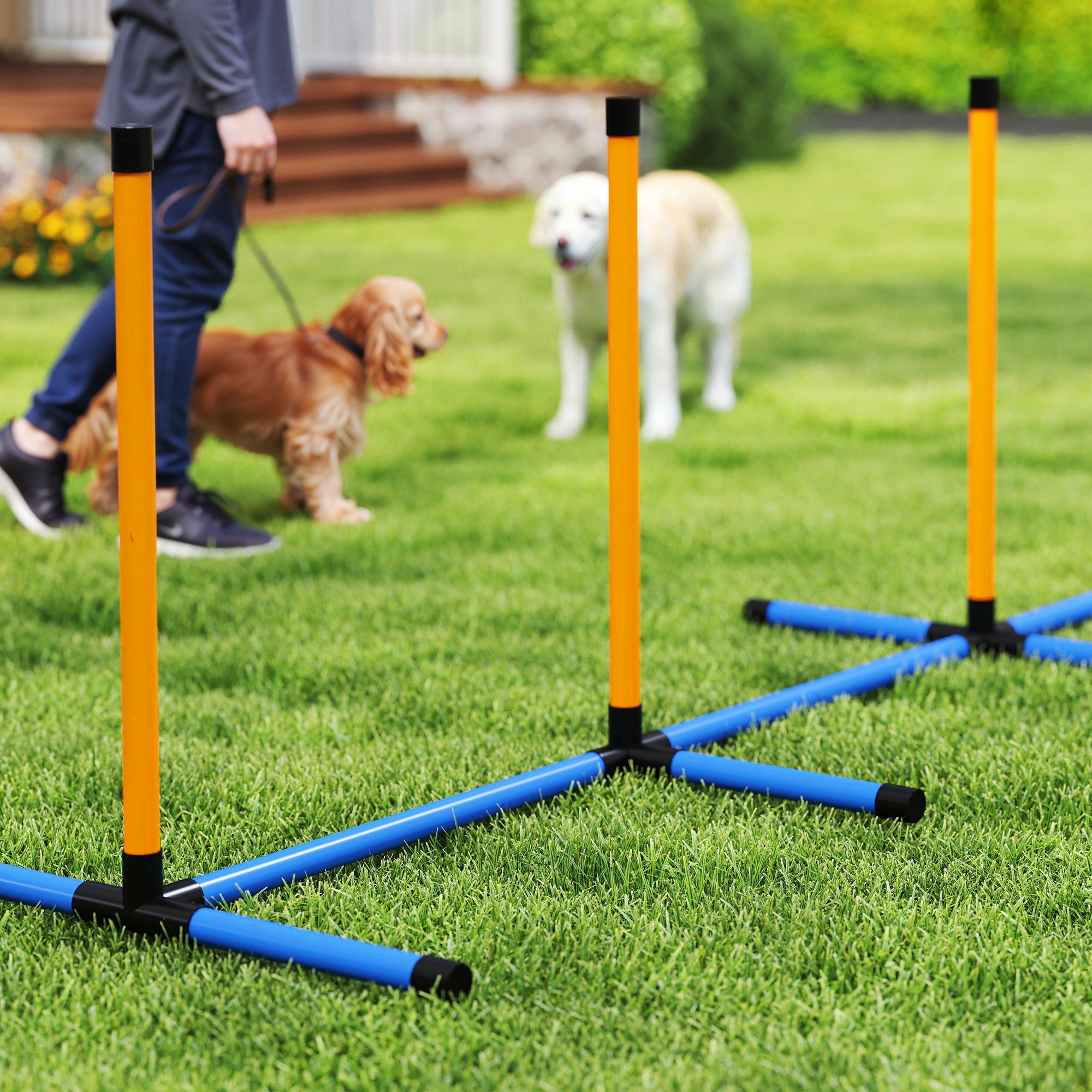 Agility Set for Dogs 7 Pieces Agility Equipment for Dog Training Hurdle Set with Slalom Poles Jump Hoop 2 Balls Height Adjustable Hurdles Coordination Training for Games Training