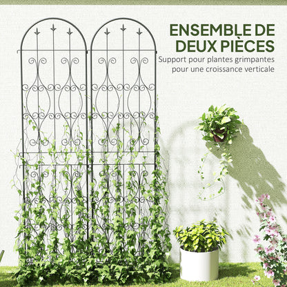 Set of 2 Plant Climbing Supports, Trellises for Garden with Swirl Patterns, for Vegetables, Vines, Flowers, Made of Metal, 50 x 220 cm, Black