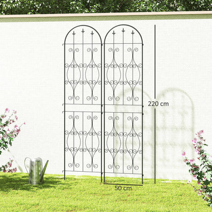 Set of 2 Plant Climbing Supports, Trellises for Garden with Swirl Patterns, for Vegetables, Vines, Flowers, Made of Metal, 50 x 220 cm, Black