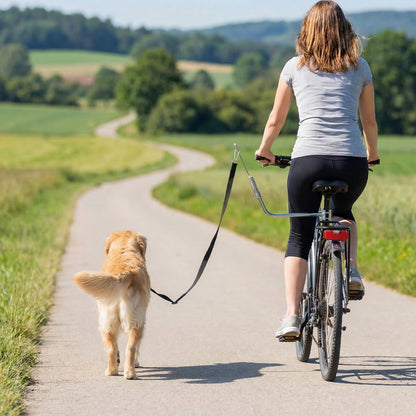 Bike Leash for Dogs with Shock Absorber, Adjustable Lead & Quick-Release — Silver/Black