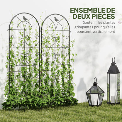 Climbing Plant Support with Birds, Set of 2, Garden Trellis, for Vegetables, Vines, Flowers, Metal, 50 x 150 cm, Black