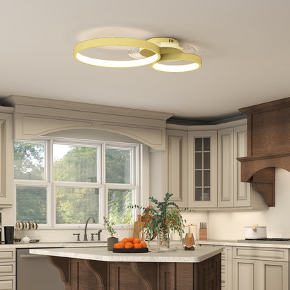 40W LED Ceiling Lamp Modern LED Ceiling Light 3000 K/4000 K/6500 K for Bedroom Living Room Kitchen Dining Room Gold