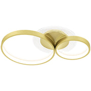 40W LED Ceiling Lamp Modern LED Ceiling Light 3000 K/4000 K/6500 K for Bedroom Living Room Kitchen Dining Room Gold