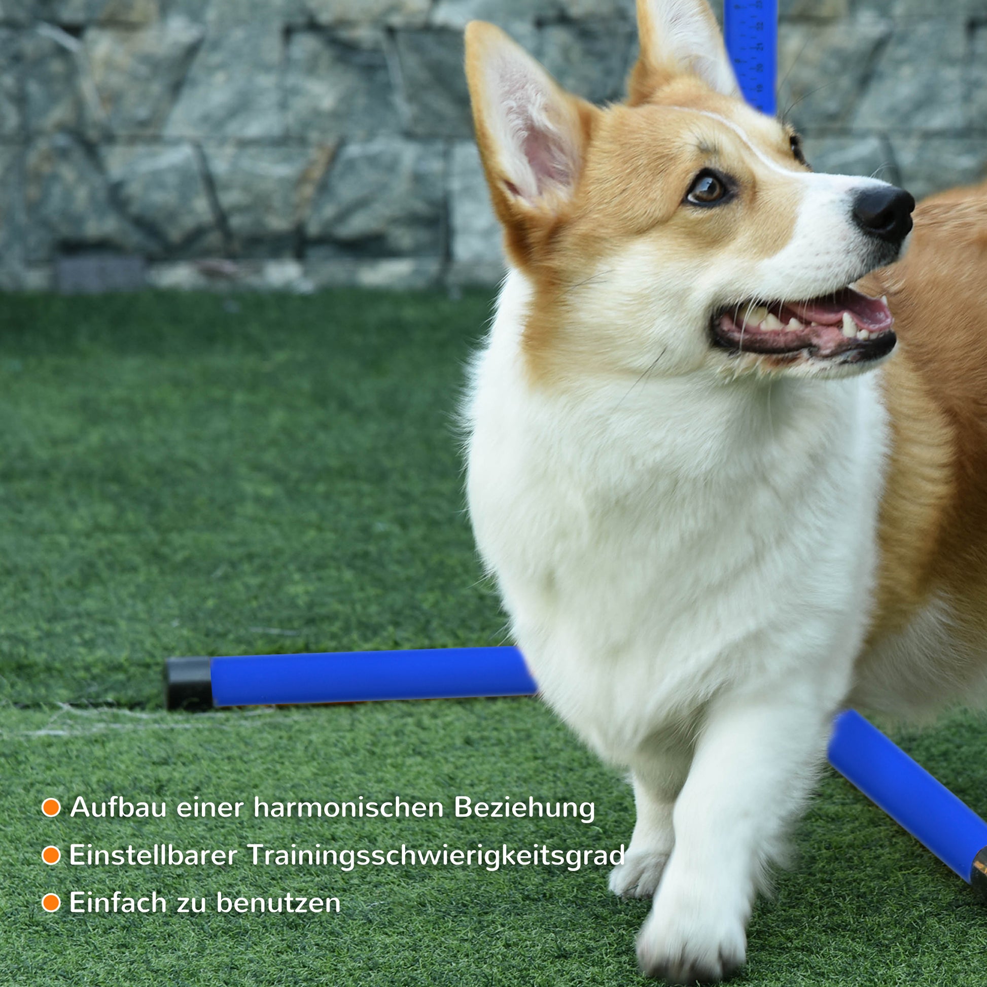 Agility Set Dogs 4-Piece Agility Equipment for Dog Training Pole Set with 4 Adjustable Height Hurdles Carrying Bag Coordination Training Agility Set for Games Training