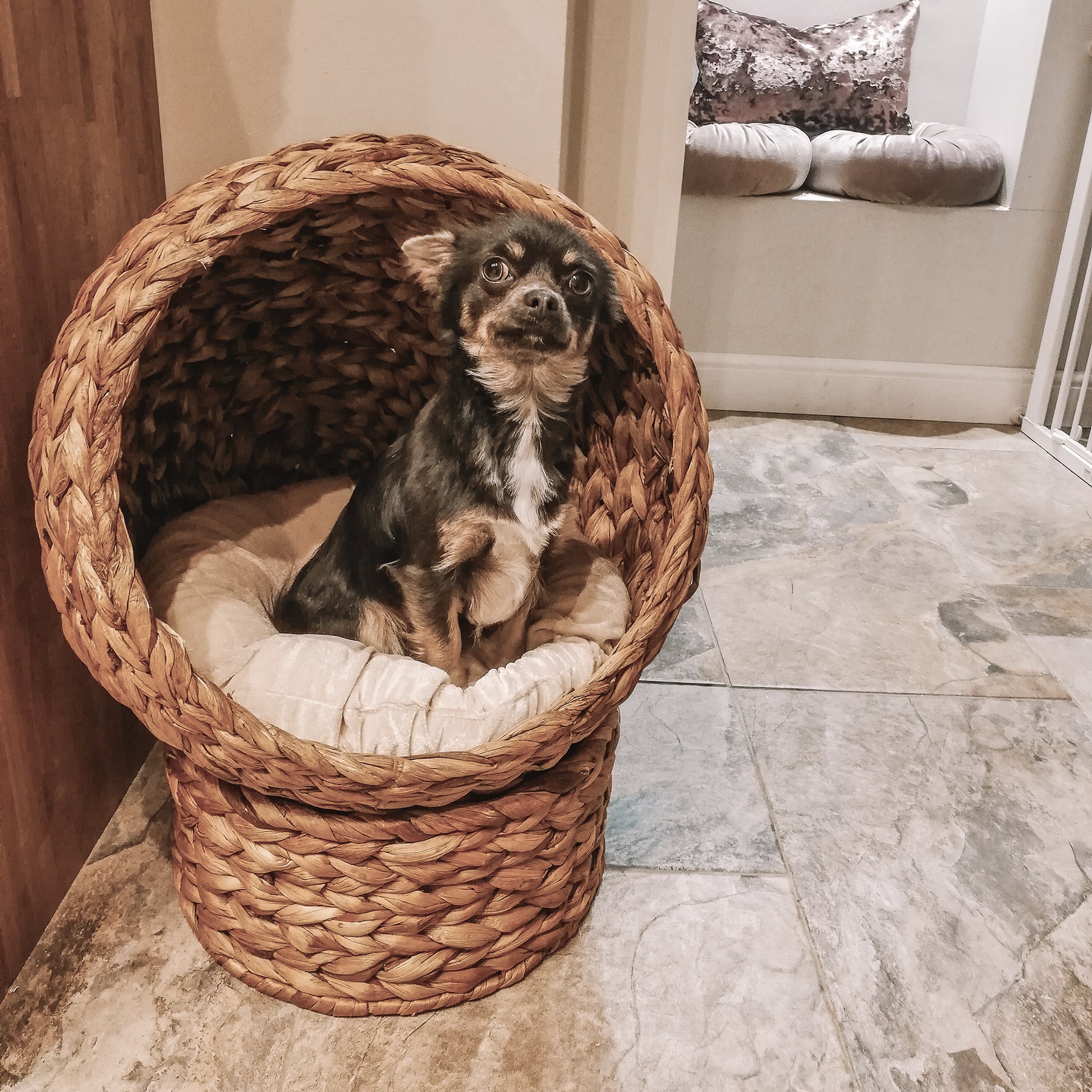 Rattan Cat Bed Cat Cave Cat Cottage Cat Bed with Cushion Pet Bed Water Hyacinth Brown 50 x 42 x 60 cm