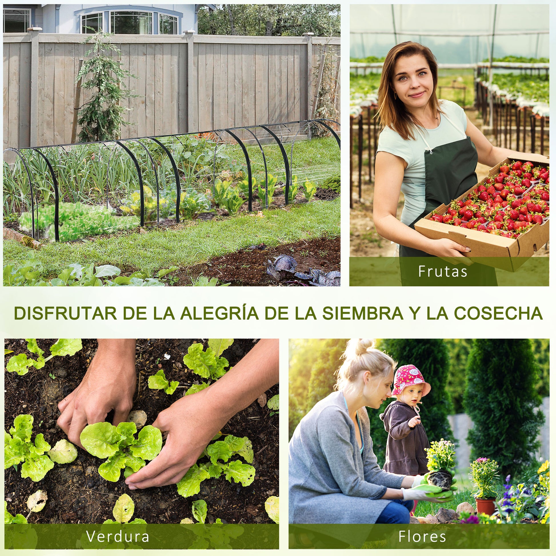 Small Greenhouse 137.8x39.4x31.5 inches Garden Greenhouse with 3 Roll-Up Windows Steel Frame for Crops Plants Flowers Clear