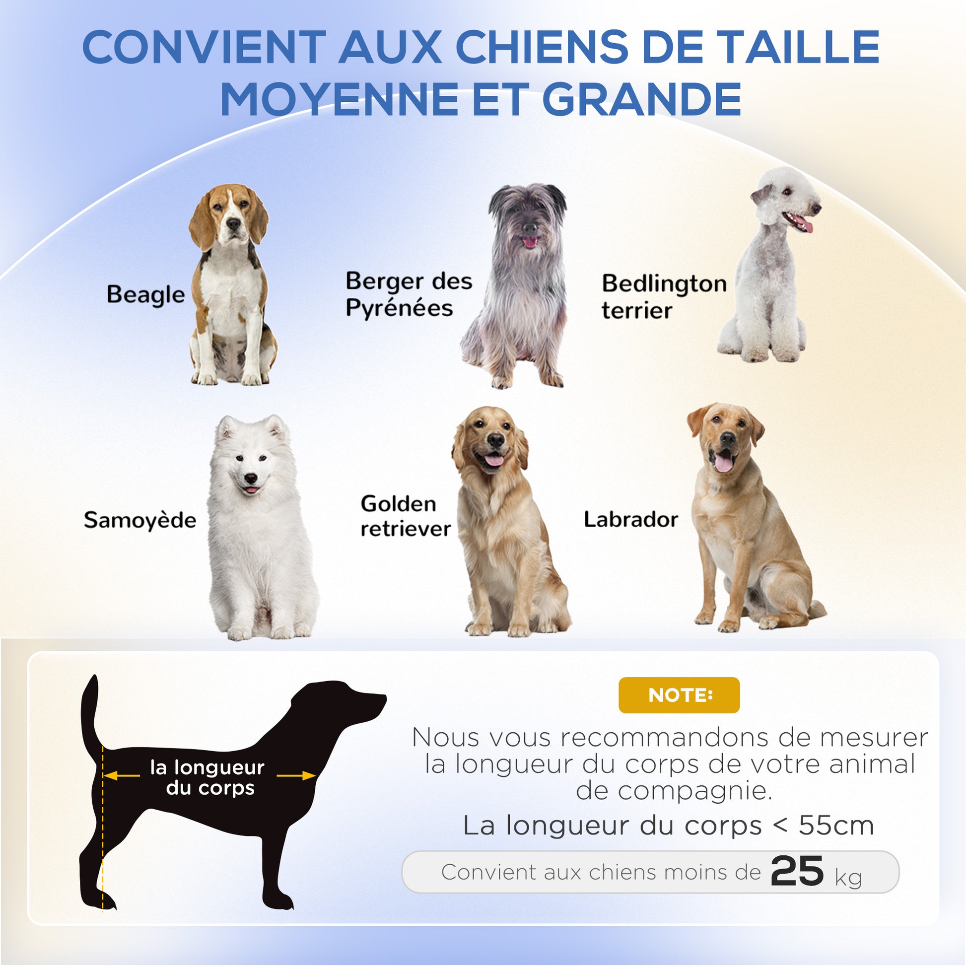 Dog Sofa Elevated Dog Bed 101.5 x 62 x 34.5 cm Removable Cushion Steel Legs Velvet Surface Cream White Black Dog Bed