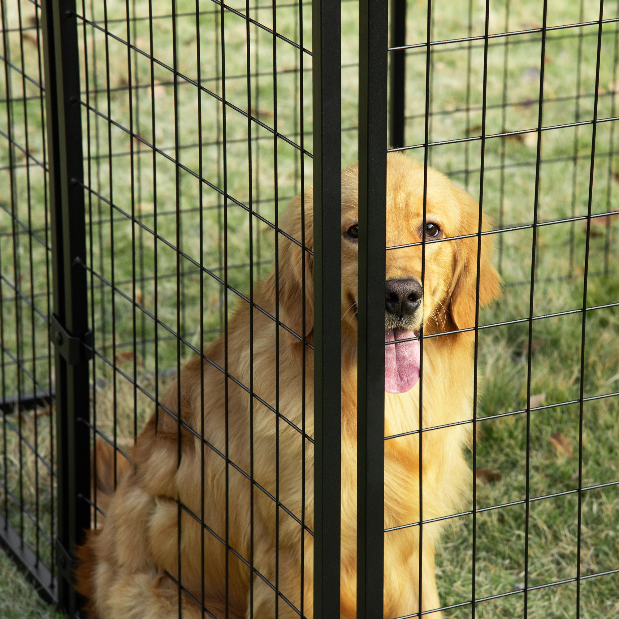 Foldable Steel Dog Pen with Cover, Pet Crate with Lockable Door, 8 Panel Run for Animals, 141x141x113cm, Black