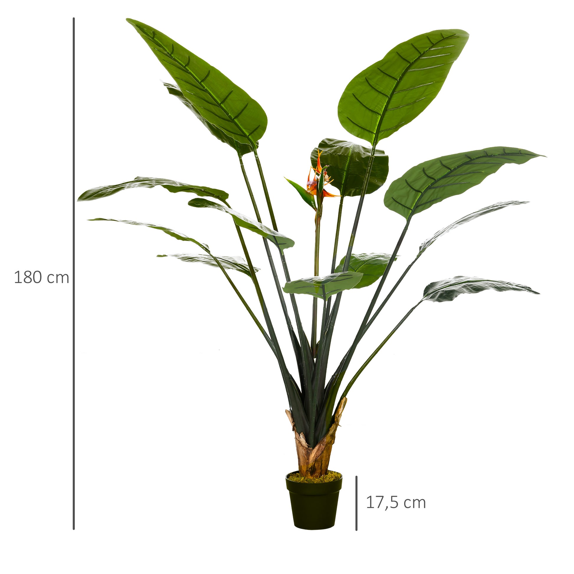 Artificial Bird of Paradise Strelitzia Plant Height 1.80 m - 13 Leaves and 2 Flowers High Realism Pot Included