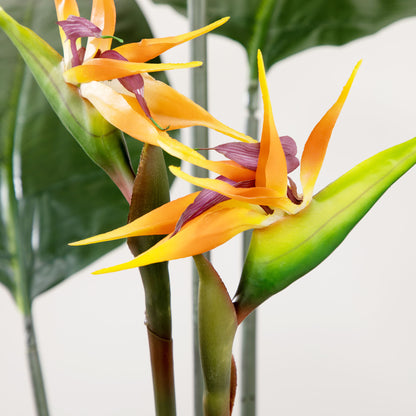 Artificial Bird of Paradise Strelitzia Plant Height 1.80 m - 13 Leaves and 2 Flowers High Realism Pot Included