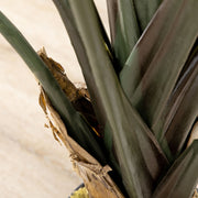 Artificial Bird of Paradise Strelitzia Plant Height 1.80 m - 13 Leaves and 2 Flowers High Realism Pot Included