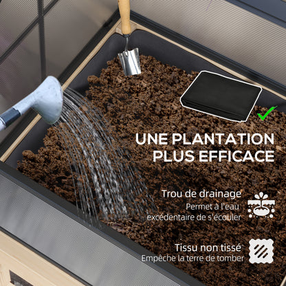 Mini Greenhouse on Legs - elevated planter - dimensions 60L x 57W x 103H cm - double openable polycarbonate panels, steel, treated fir wood
