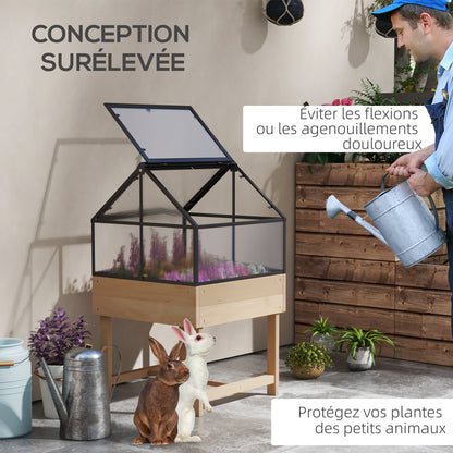 Mini Greenhouse on Legs - elevated planter - dimensions 60L x 57W x 103H cm - double openable polycarbonate panels, steel, treated fir wood