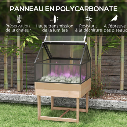 Mini Greenhouse on Legs - elevated planter - dimensions 60L x 57W x 103H cm - double openable polycarbonate panels, steel, treated fir wood