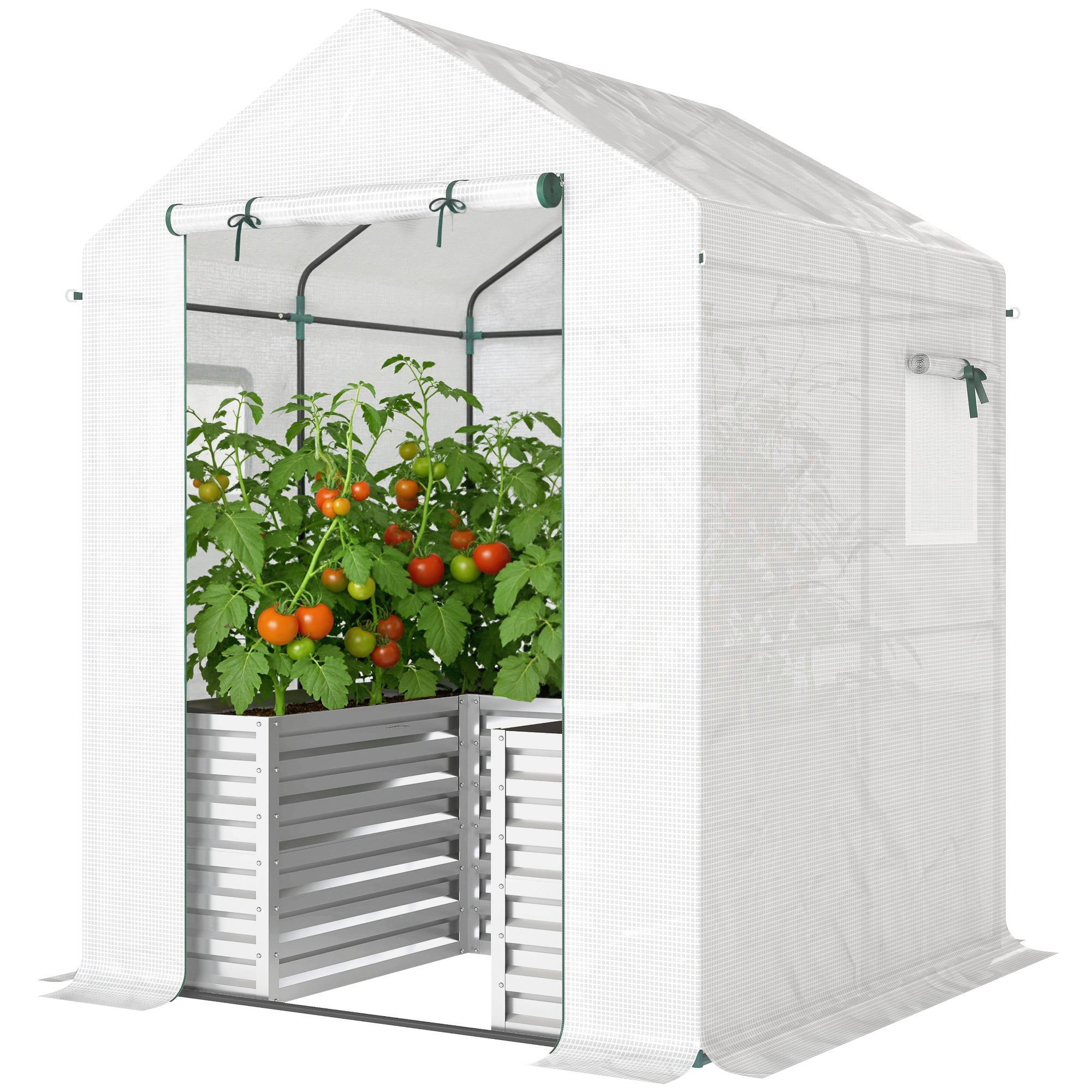 PE Film Tomato Greenhouse with Raised Bed, Roll-Up Door & Windows, Sloped Roof — 141 × 141 × 190 cm (55.5 × 55.5 × 74.8 in) — White
