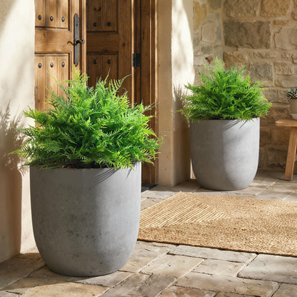 2-Pack Artificial Boston Ferns, 24 in Faux Potted Plants – Lifelike Fake Ferns for Living Room, Bedroom, Garden, Office, Gift
