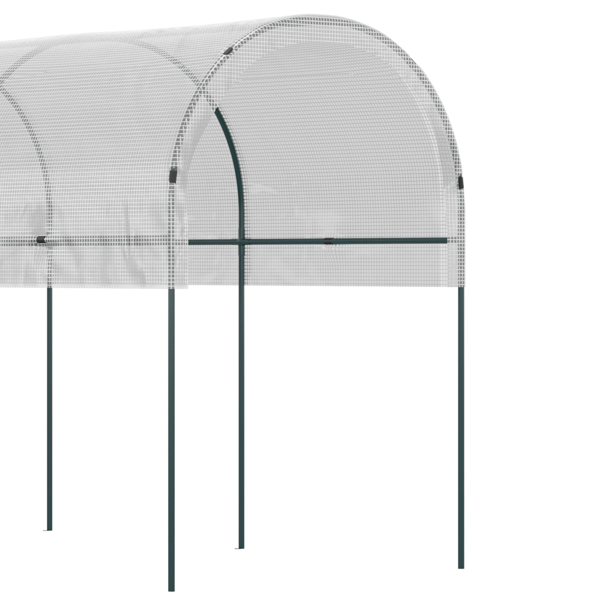 Garden Greenhouse, Tomato Greenhouse, Reinforced Cover, Steel Structure, for Vegetables Plants Flowers, Outdoor, 400 x 120 x 170 cm, Transparent
