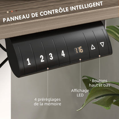 Electric Height Adjustable Sit-Stand Desk with Memory Function, Height Adjustable Desk 72-116 cm, 120L x 60W cm Natural and White