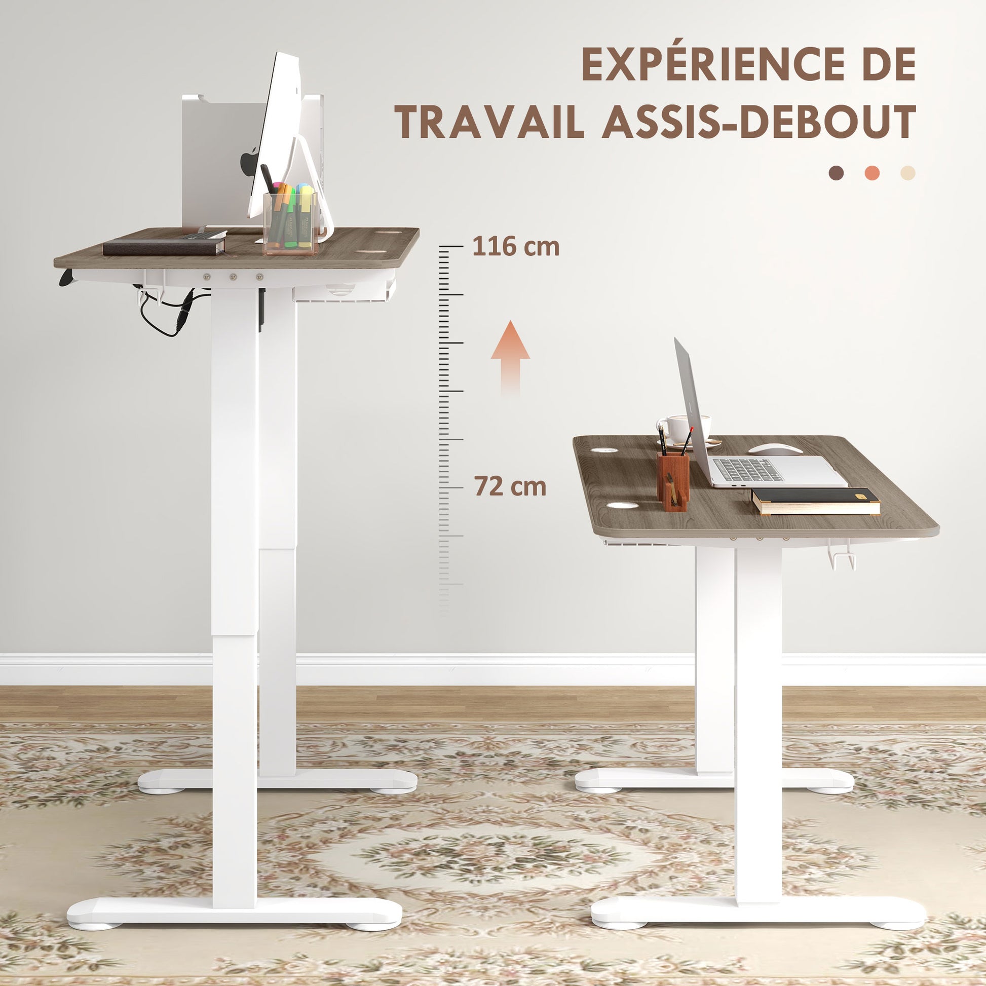 Electric Height Adjustable Sit-Stand Desk with Memory Function, Height Adjustable Desk 72-116 cm, 120L x 60W cm Natural and White